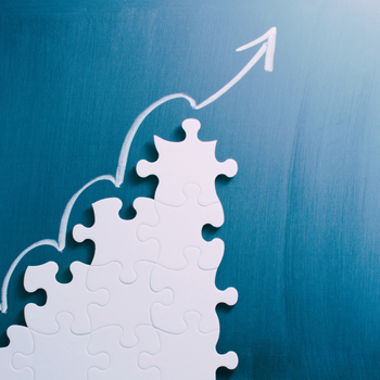 Cannabis CFO consultation for cash flow clarity and financial control